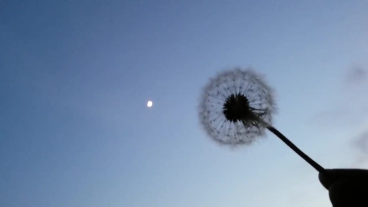 Red Thread: Experimental Video Clip, still 6 of 6
