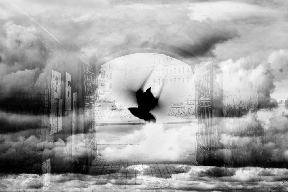 St. Petersburg: Photography Series, slide 3 of 12